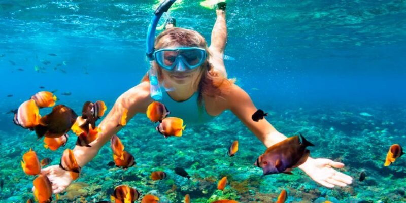 Valencia: Tabarca Island Full-Day Trip - Customer Reviews and Ratings