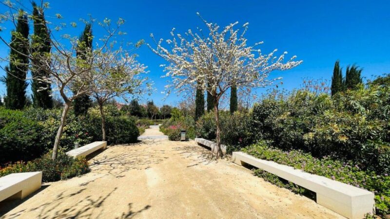 Valencia: the Best 18 Spots in the City (Private/E-Scooters) - Turia Park and Museums