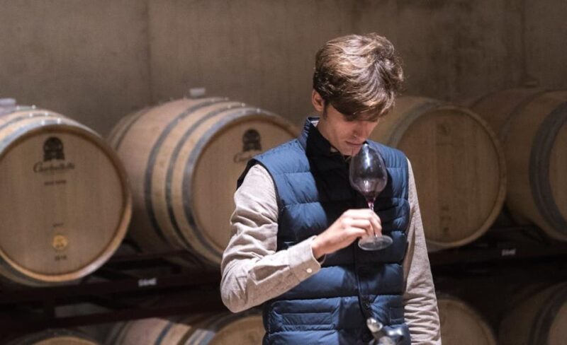 Valencia: Vineyard Tour With Local Wine Tasting & Appetizer - Itinerary