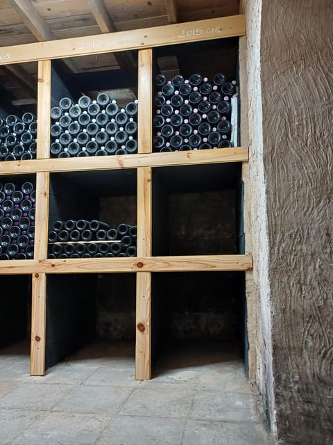 Valencia: Vineyard Tour With Local Wine Tasting & Appetizer - Inclusions