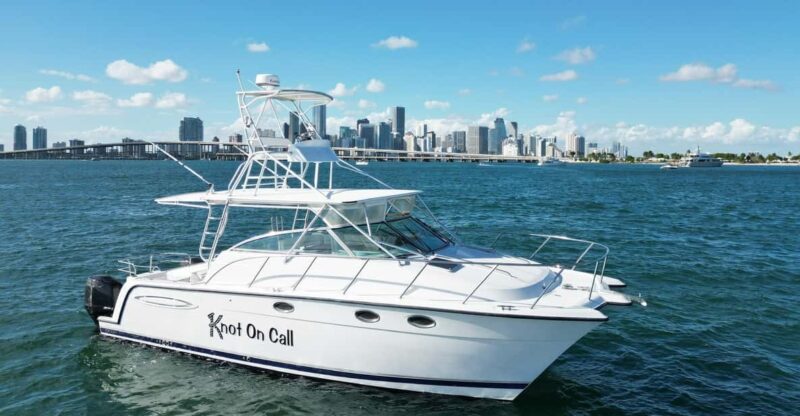 Valencia: VIP Sunset Cruise in Catamaran With Drink - Exploring Valencian Coastline