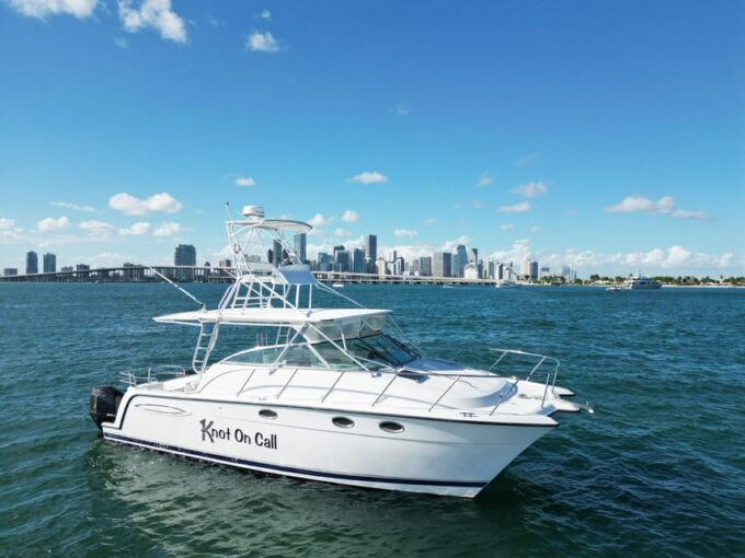 Valencia: VIP Sunset Cruise in Catamaran With Drink - Frequently Asked Questions