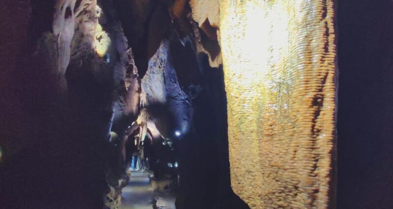 Valencia: Visit by Boat to the Caves of Sant Josep - Customer Feedback