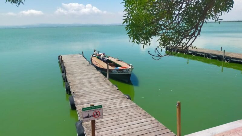 Valencia's Albufera, cycling guided tour - Final Thoughts