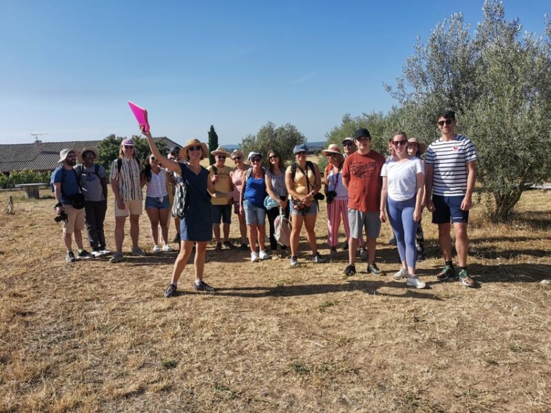 Valensole : Visit of a Winery and Lavender Farm - Guided Tour Details