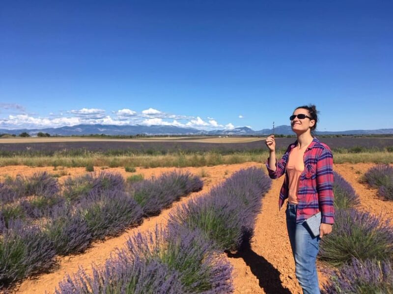 Valensole : Visit of a Winery and Lavender Farm - Upcoming Wine Tasting Experience