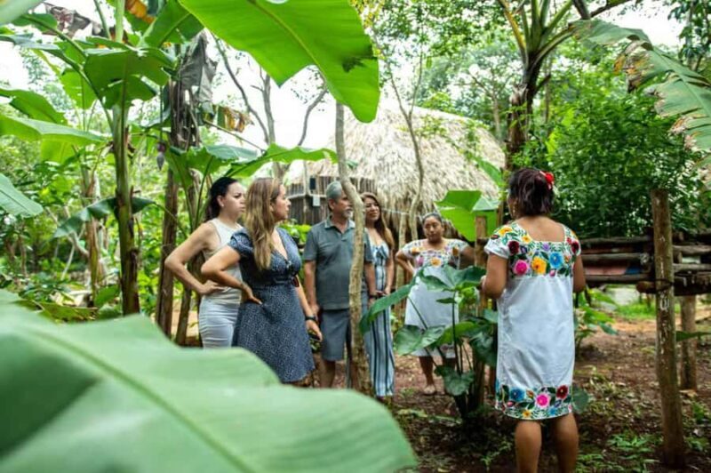 Valladolid: Mayan Cooking Class with 5 Dishes - Why This Tour Is Worth Your Time