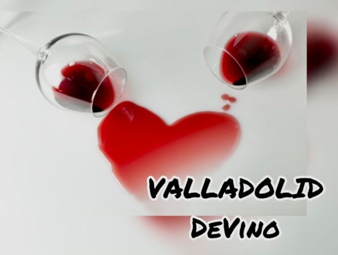 Valladolid: Private Guided Tour With Tapas and Wine Tasting - Availability and Booking