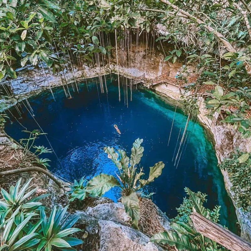 Valladolid: Traditional Cooking Class with Access to a Cenote - Introduction