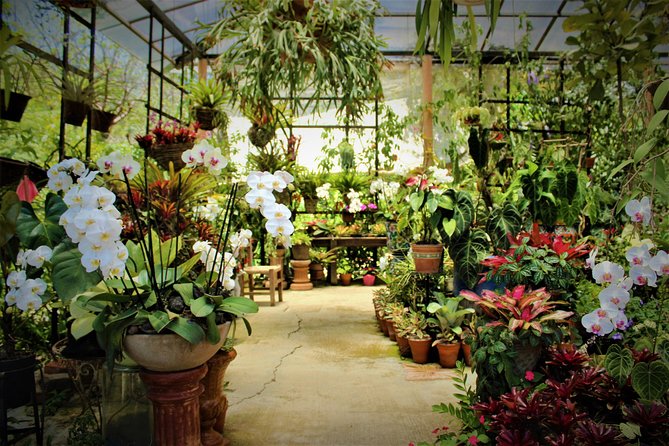 Vallarta Botanical Garden and Tequila Tasting From Puerto Vallarta - Meeting and Pickup Information