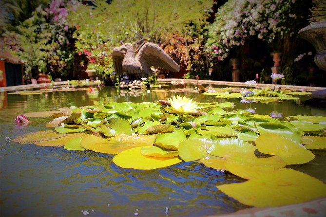Vallarta Botanical Garden and Tequila Tasting From Puerto Vallarta - Recommendations and Tips