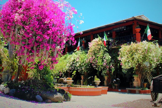 Vallarta Botanical Garden and Tequila Tasting From Puerto Vallarta - Vallarta Botanical Garden
