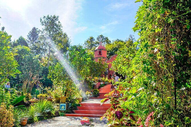 Vallarta Botanical Garden: Private Day Trip of Flora & Fauna - Introduction: Why This Vallarta Botanical Garden Tour Might Be Just Right for You