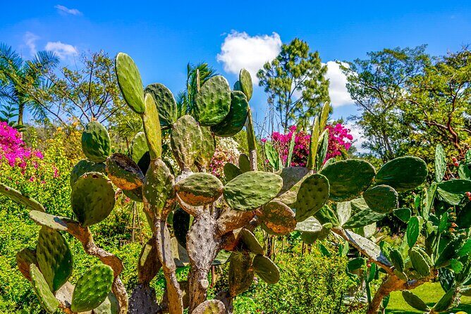 Vallarta Botanical Garden: Private Day Trip of Flora & Fauna - Final Thoughts: Who Will Love This Tour?