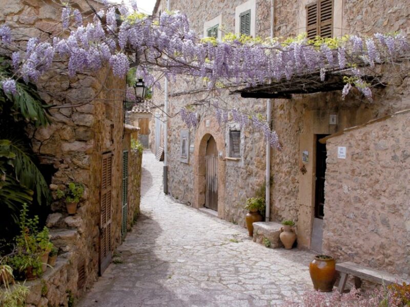 Valldemossa: Discover Valldemossa With a Transfer From Palma - Transportation and Meeting Point