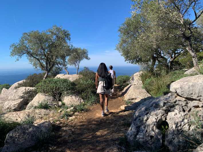 Valldemossa: Town and the Most Beautiful Viewpoints - Key Points