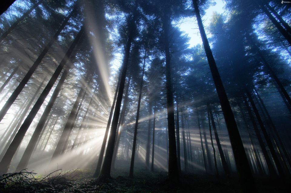 Valle De Bravo: a Magical Night in the Forest - Key Points