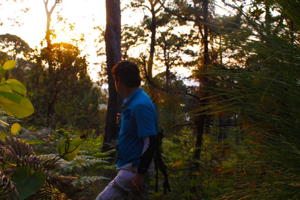 Valle De Bravo: a Magical Night in the Forest - Inclusions and Exclusions