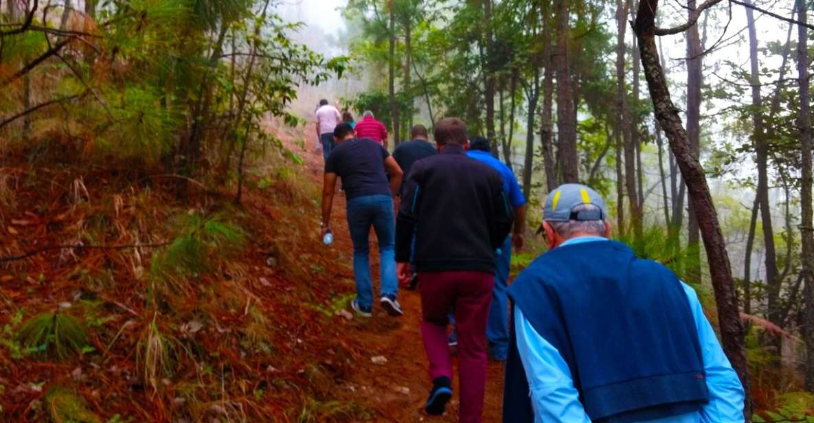 Valle De Bravo: Forest Hiking Adventure - Included in the Experience