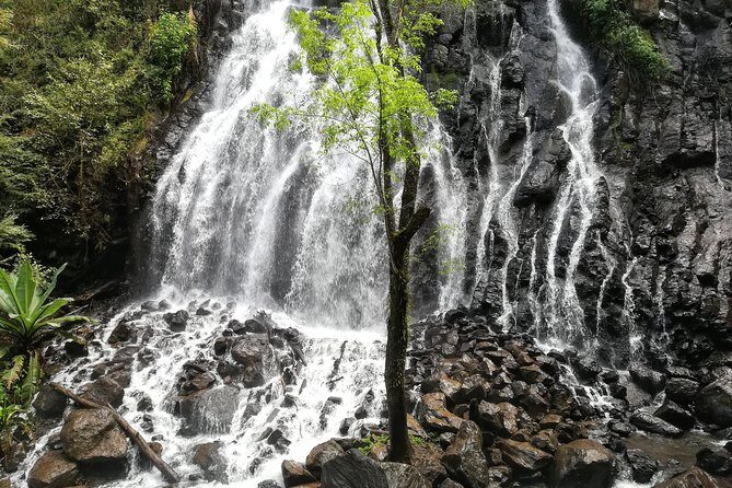 Valle de Bravo: Private & Small group tour from Mexico City - The Sum Up