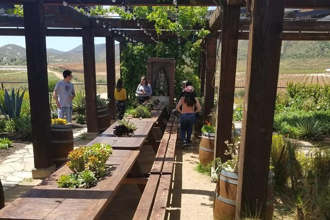 Valle De Guadalupe COUPLES Wine Tasting for 2 - Private Wine Tasting Tour