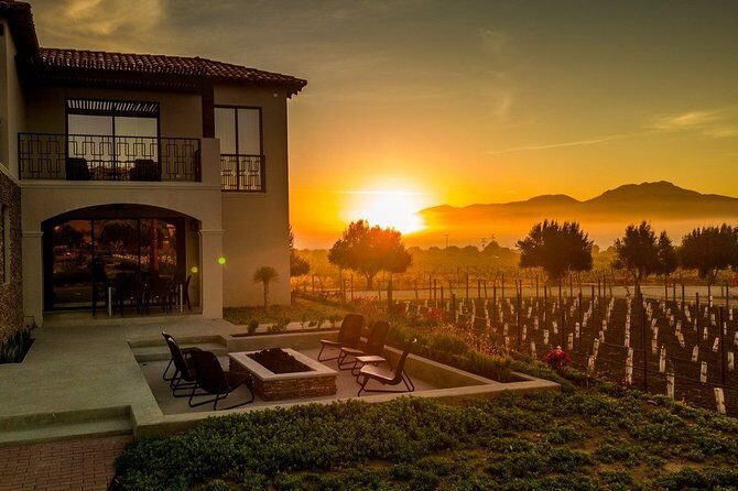 Valle de Guadalupe Premium Wine & Vineyard Wagon Tour - Introduction