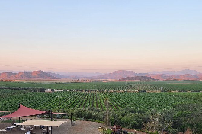 Valle de Guadalupe Private Wine Tour - What You Can Expect from this Tour