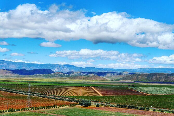 Valle de Guadalupe Private Wine Tour - What Past Travelers Say