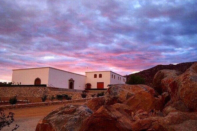 Valle de Guadalupe Wine Experience: Wine Tastings Included - Why This Tour Works