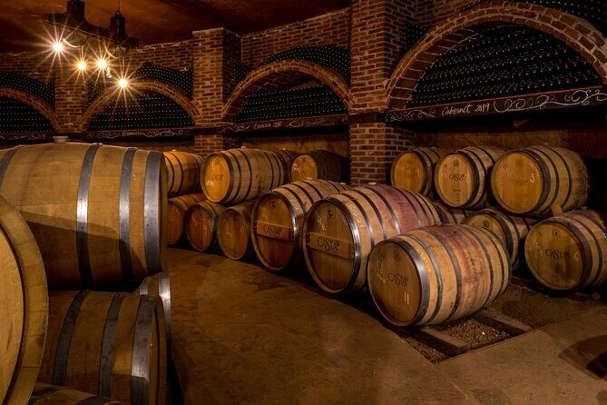 Valle de Guadalupe Wine Experience: Wine Tastings Included - Who Should Consider This Tour?