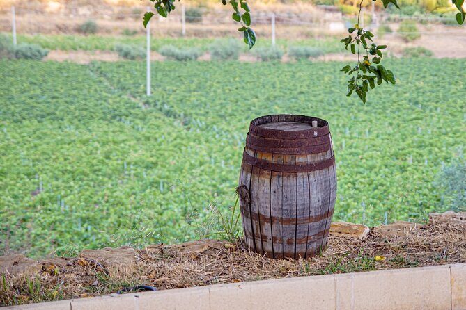 Valle delle Ferle with Wine Tasting and Lunch in Caltagirone - FAQs