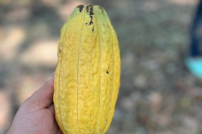 Valle Taino Tropical Park and plantation in Puerto Plata - Scenic Land of the Dominican Countryside