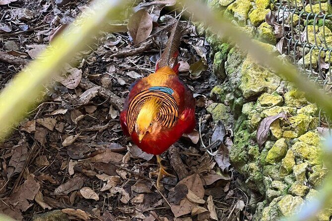 Valle Taino Tropical Park and plantation in Puerto Plata - Transportation and Group Size