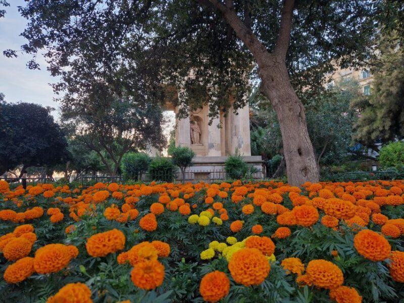Valletta: City Walking Tour in a Small Group - Analyzing the Value