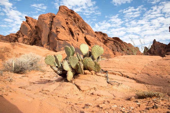 Valley of Fire and Lost City Museum Tour From Las Vegas - Valley of Fire Highlights