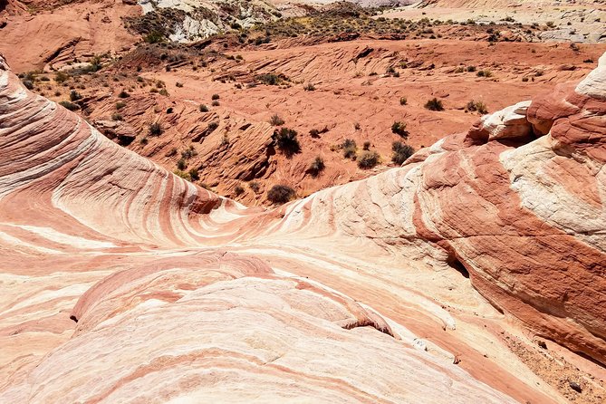Valley of Fire Guided Hiking Tour From Las Vegas - Highlights of Valley of Fire