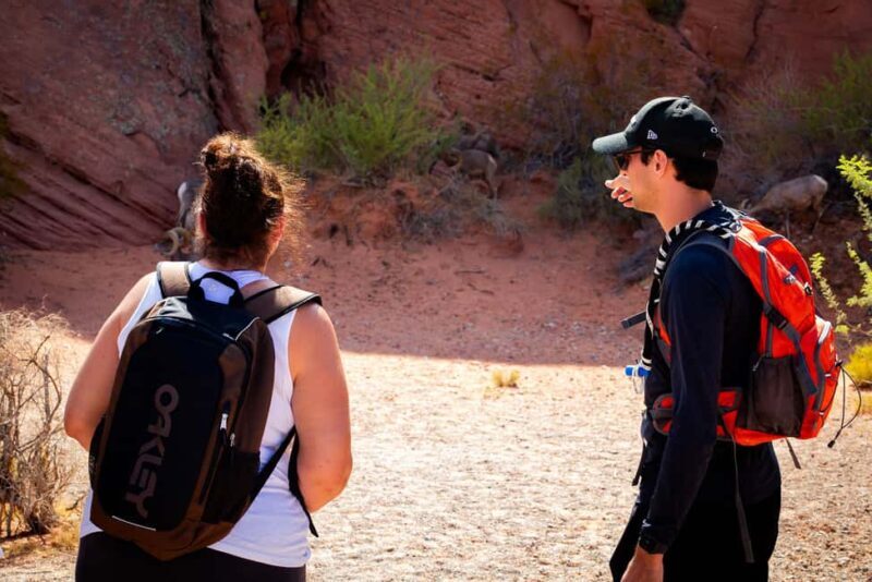 Valley of Fire Guided Hiking Tour & Mojave Desert Adventure - Authenticity and Overall Experience