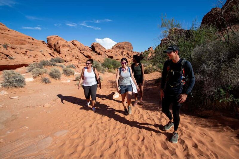 Valley of Fire Guided Hiking Tour & Mojave Desert Adventure - The Sum Up