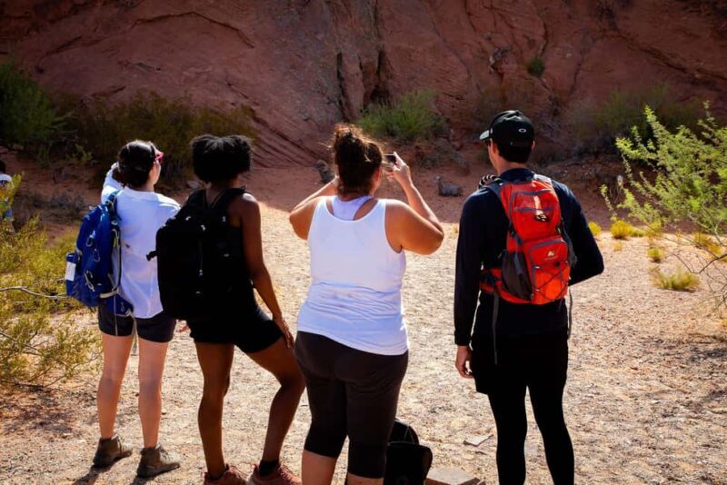 Valley of Fire Guided Hiking Tour & Mojave Desert Adventure - FAQs