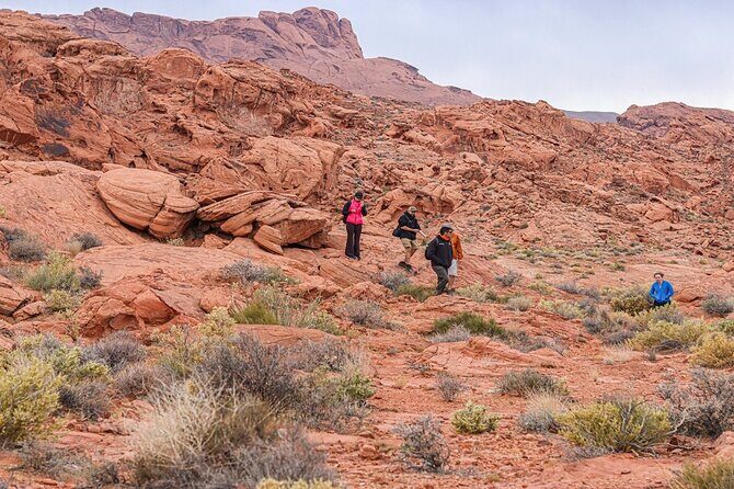 Valley of Fire Half Day Tour - FAQ