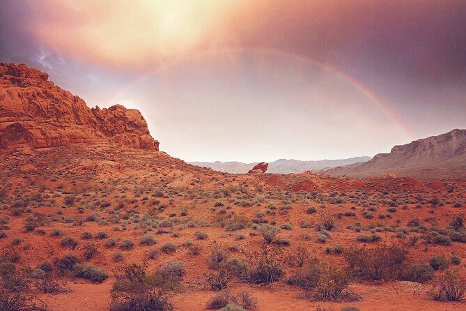 Valley of Fire State Park Tour from Las Vegas - An In-Depth Look at the Valley of Fire Tour