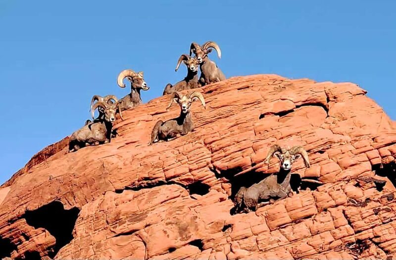 Valley of Fire - Final Thoughts