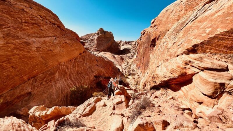 Valley of Fire VIP Small Group Tour From Las Vegas - The Practicalities: Transportation, Cost, and Comfort