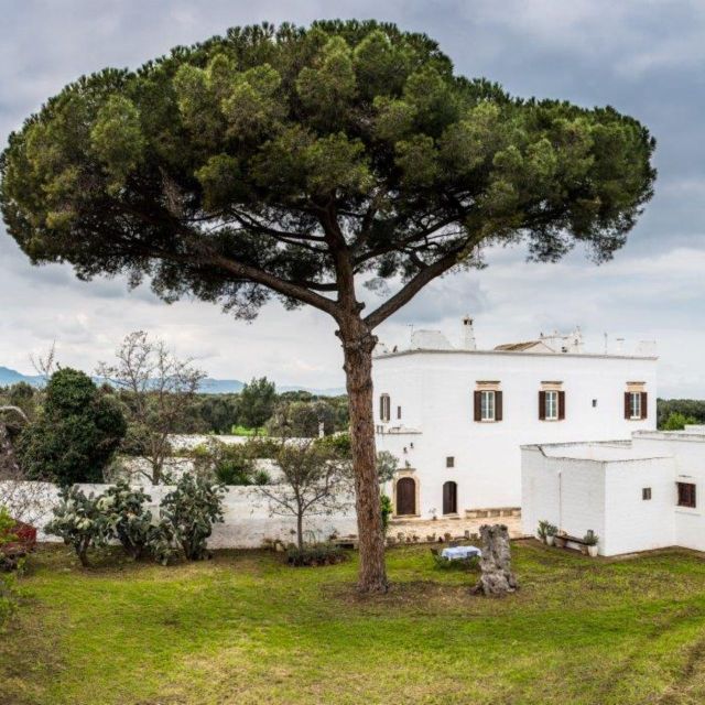 Valley of Itria: Masseria and Olive Oil Tasting - Frequently Asked Questions