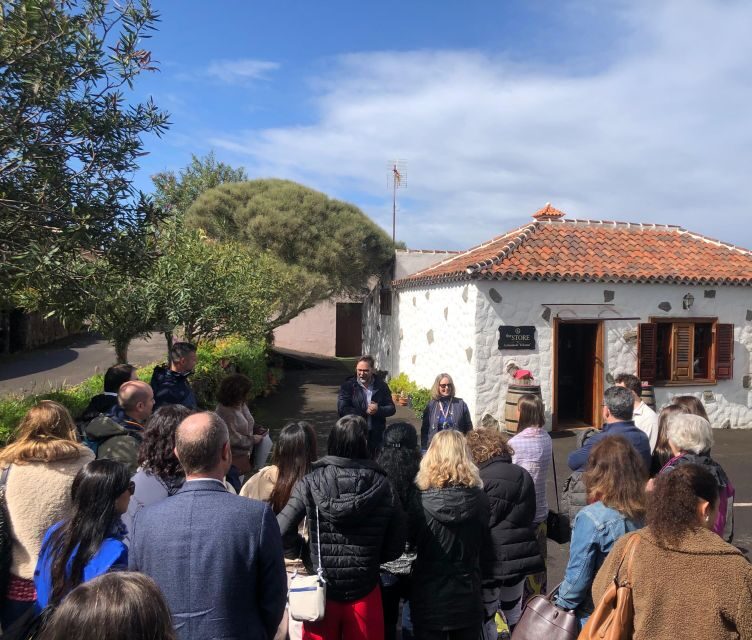 Valley of Tegueste: Wine Tour with Tasting at El Lomo Winery - An Honest Look at the Valley of Tegueste Wine Tour at El Lomo Winery