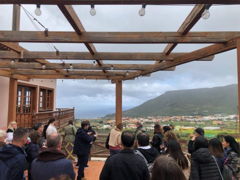 Valley of Tegueste: Wine Tour with Tasting at El Lomo Winery - What Travelers Are Saying