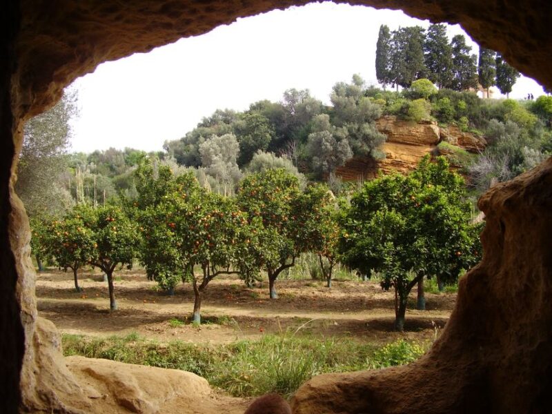 Valley of the Temples: Kolymbethra Garden Entry Ticket - Garden Experience