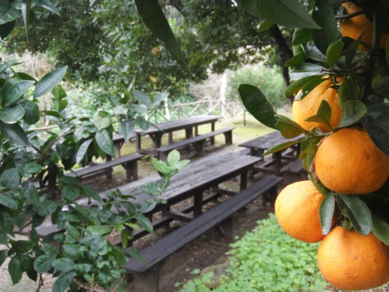 Valley of the Temples: Kolymbethra Garden Entry Ticket - Exploring the Valley of the Temples