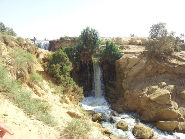 Valley of Whales and Wadi El Rayan Water Falls Day Tour From Cairo - Good To Know