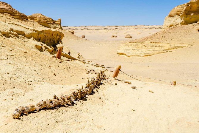 Valley of Whales and Wadi El Rayan Water Falls Day Tour From Cairo - Visitor Information